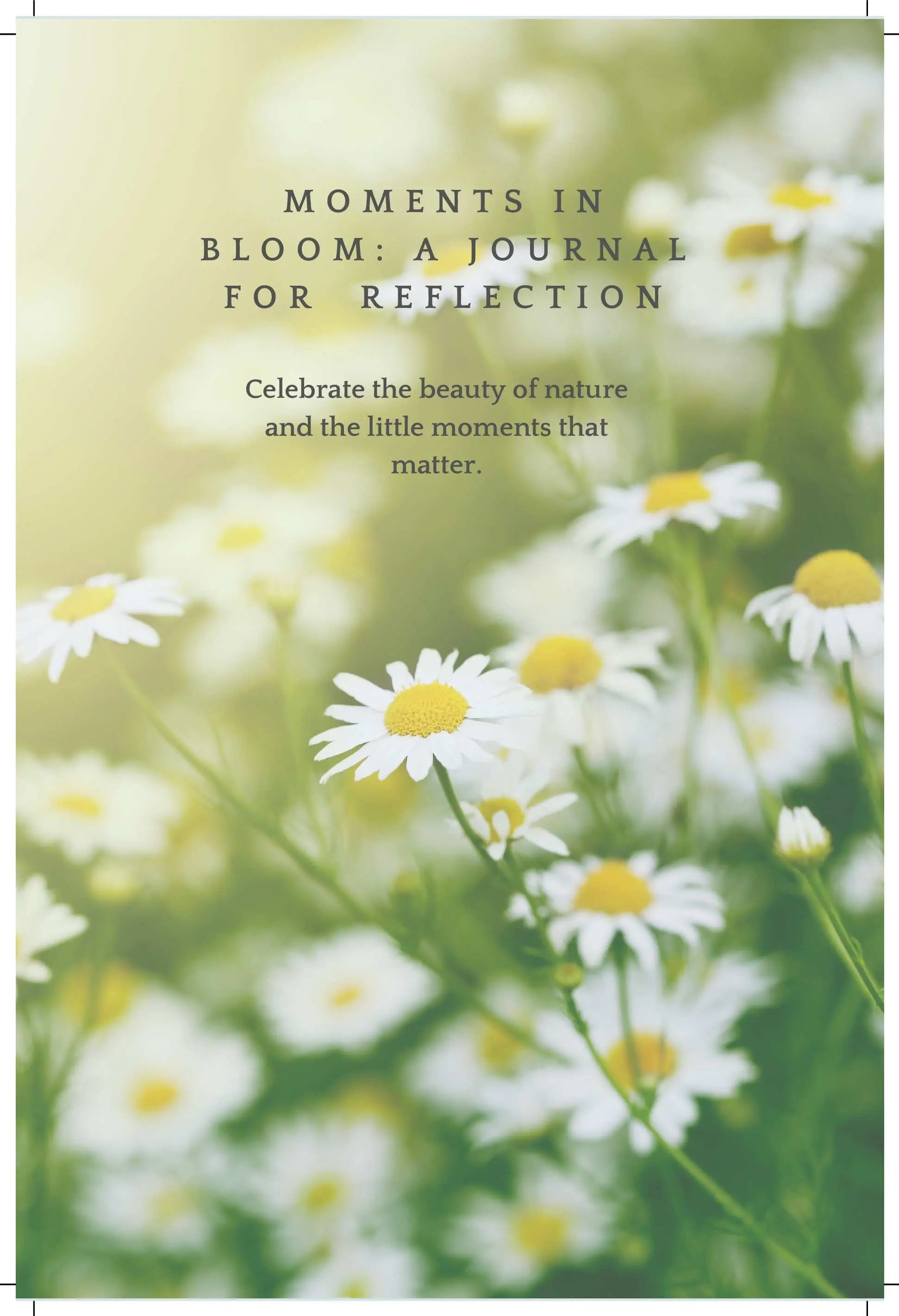 Moments in Bloom Journal for Reflection & Mindfulness | Plein De Vie ...