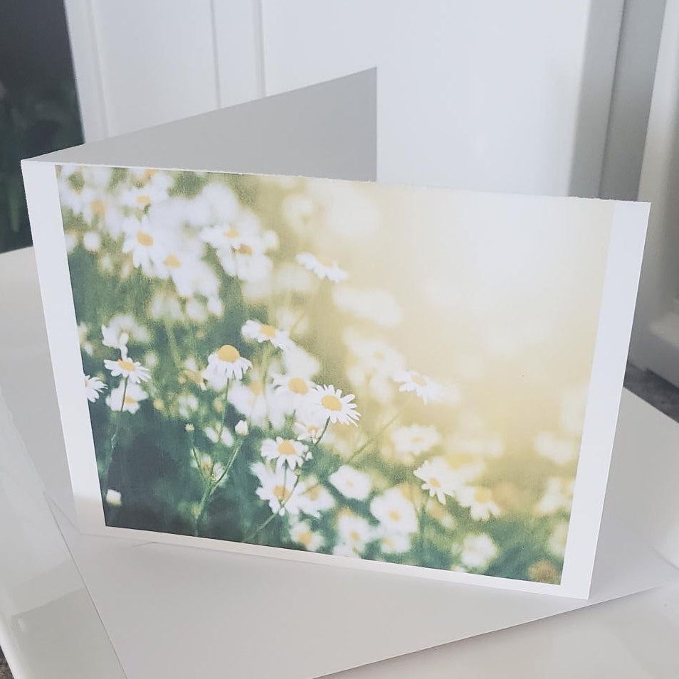 Daisy Affirmation Note Card — “I Choose to See the Beauty”
