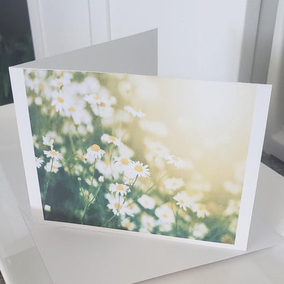 Daisy Affirmation Note Card — “I Choose to See the Beauty” Plein De Vie Jewelry