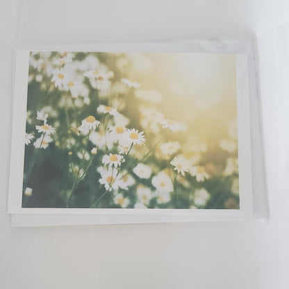 Daisy Affirmation Note Card — “I Choose to See the Beauty” Plein De Vie Jewelry